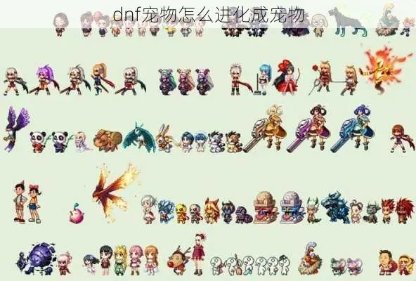 DNF地下城宠物进化全解析