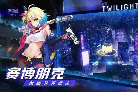 2025年二次元游戏攻略吉安　2020年二次元游戏