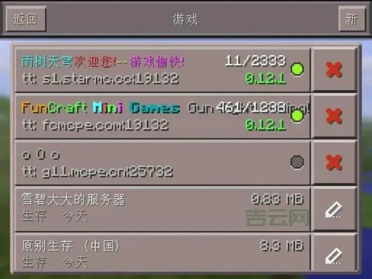 我的世界服务器IP地址查询与使用指南