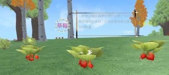 《创造与魔法》花盆制作攻略：普通与魔法花盆制作及种植建议
