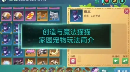 《创造与魔法》驯猫攻略：抓捕、繁殖全解析